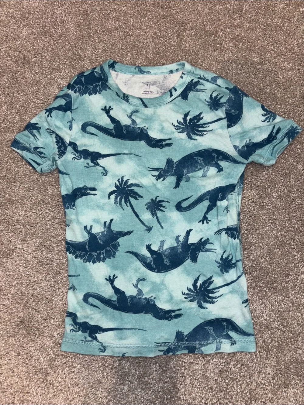 GAP Organize Teal and Navy Dinosaur Print Pajama Set